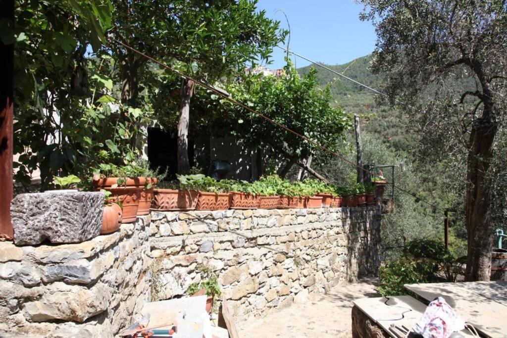 Le Case Della Lizza - Casa Blu Levanto Exterior photo